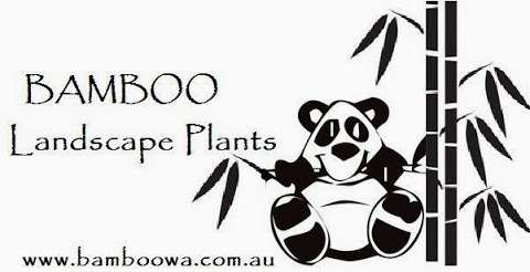 Photo: Bamboo Landscape Plants